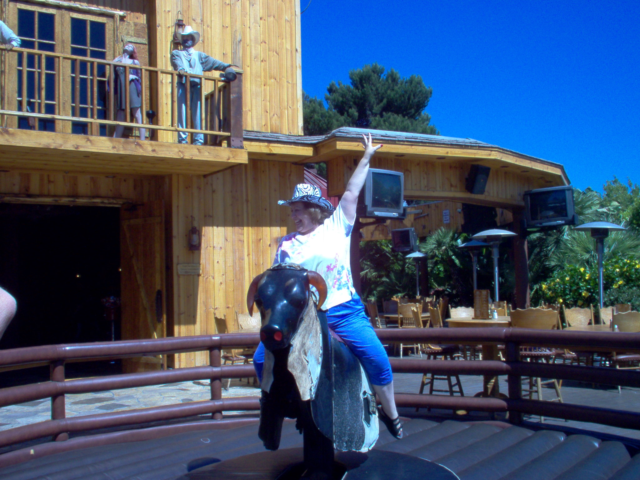 Marcella turns in a winning ride!